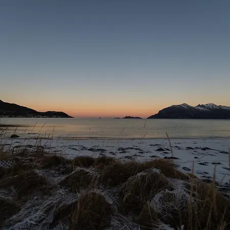 Arctic Tromvik With Jacuzzi Dom wakacyjny