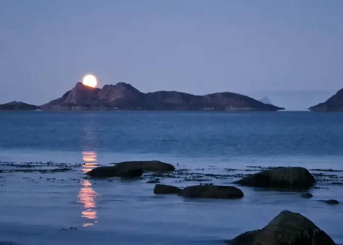 Arctic Tromvik With Jacuzzi * Tromsø